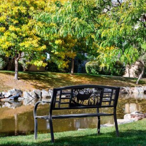 peaceful park bench