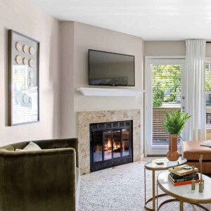 wood burning fireplace