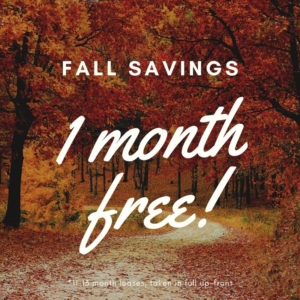 one month free special
