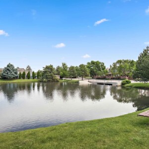 green space to walk dogs