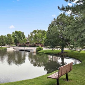 green space to walk dogs