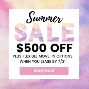 $500 OFF SPECIAL