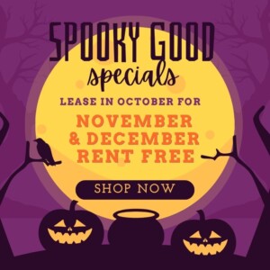 NOVEMBER & DECEMBER RENT FREE